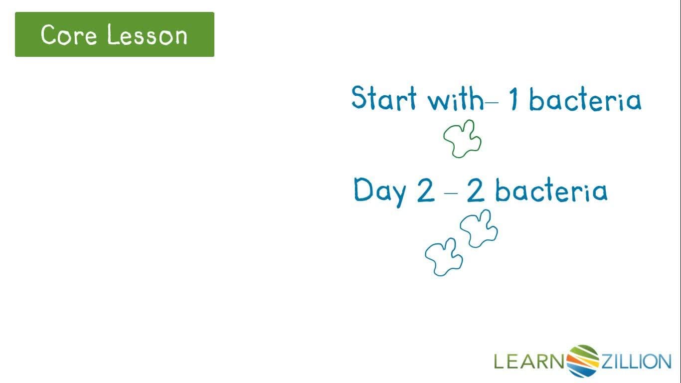 Exponential Growth and Graphing