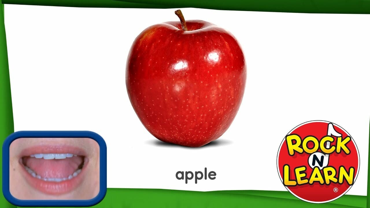 Learn English: Words Used at a Picnic