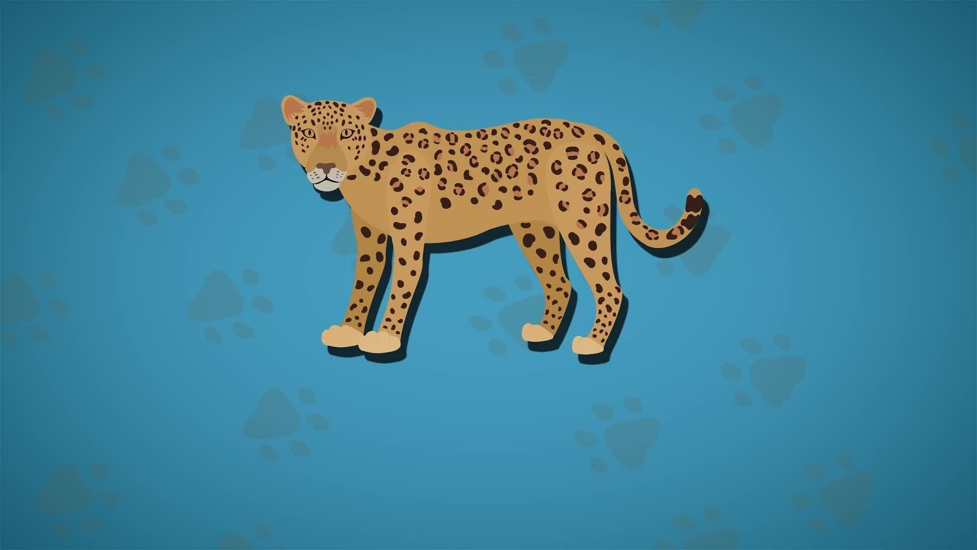 I WONDER - How Strong Are Leopards?