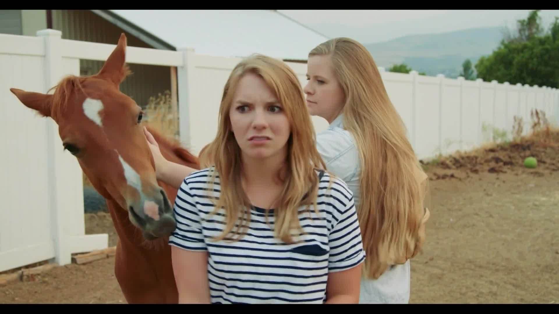 ASL - Animals practice conversation