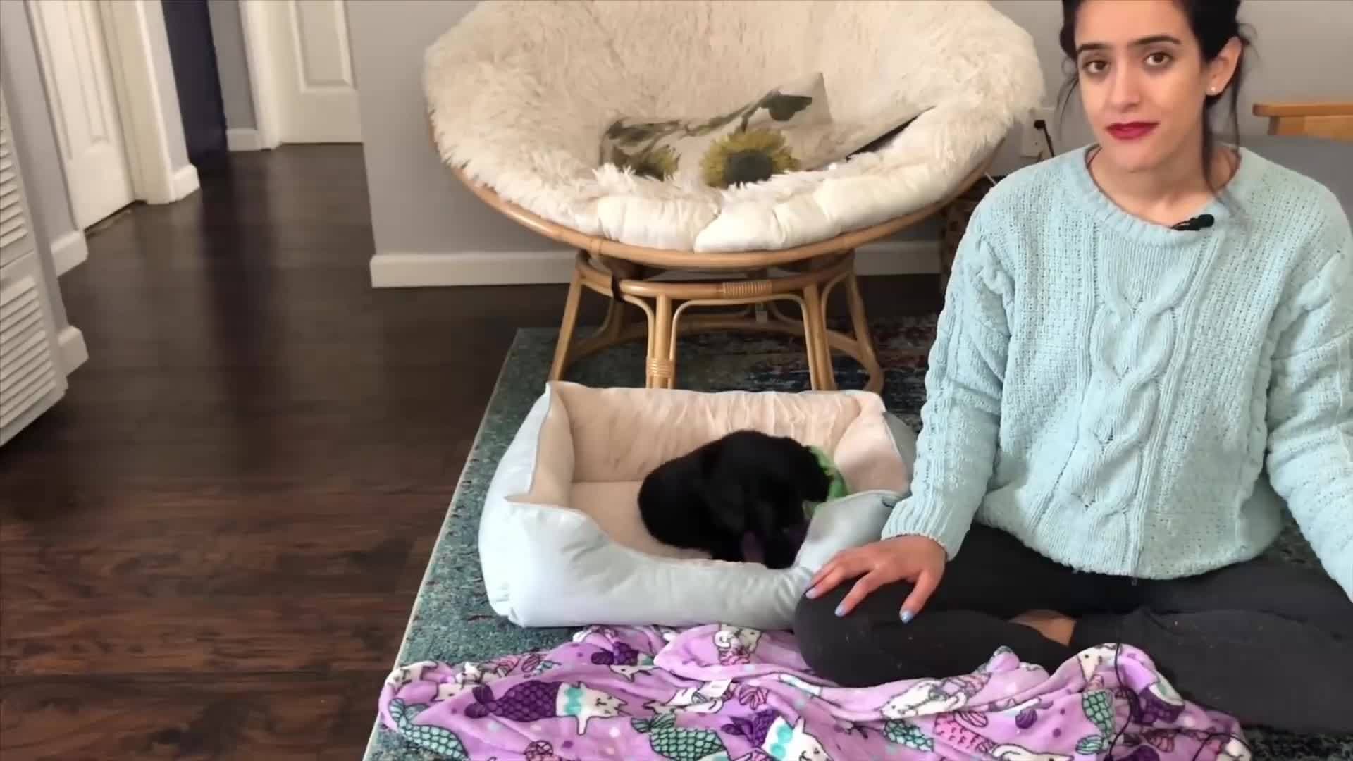 Advice For Dancers About Criticism