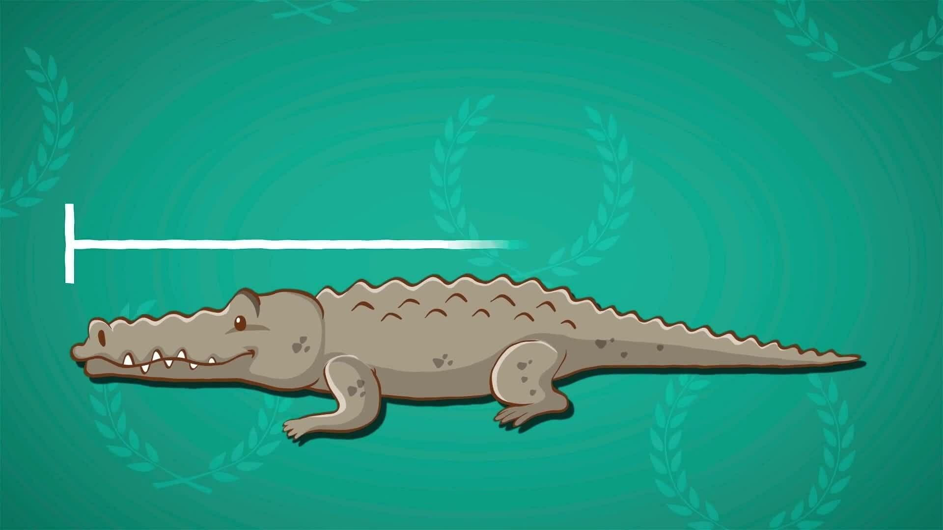 I WONDER - What Is The Largest Reptile In The World?