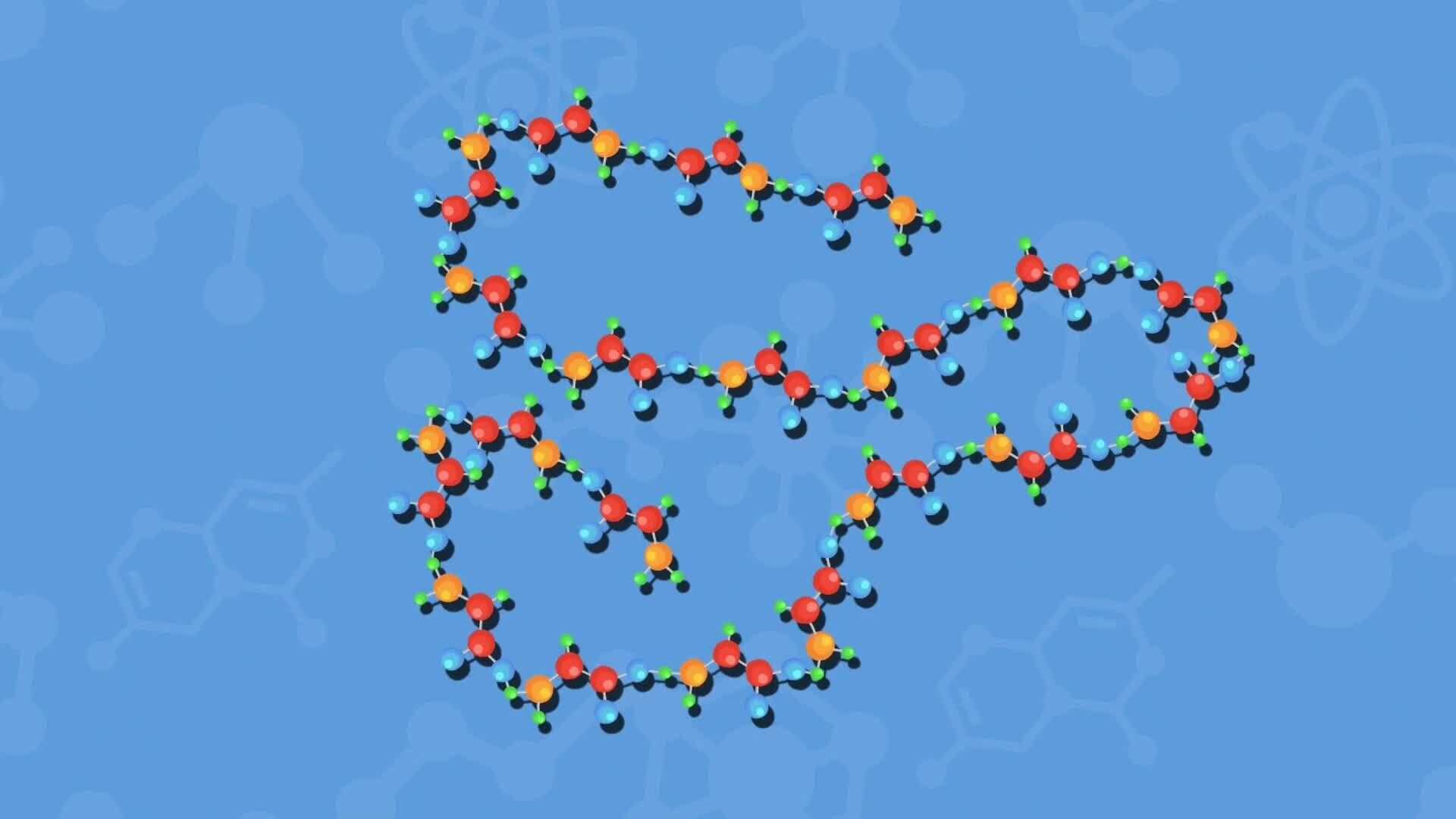 High Five Facts - Proteins