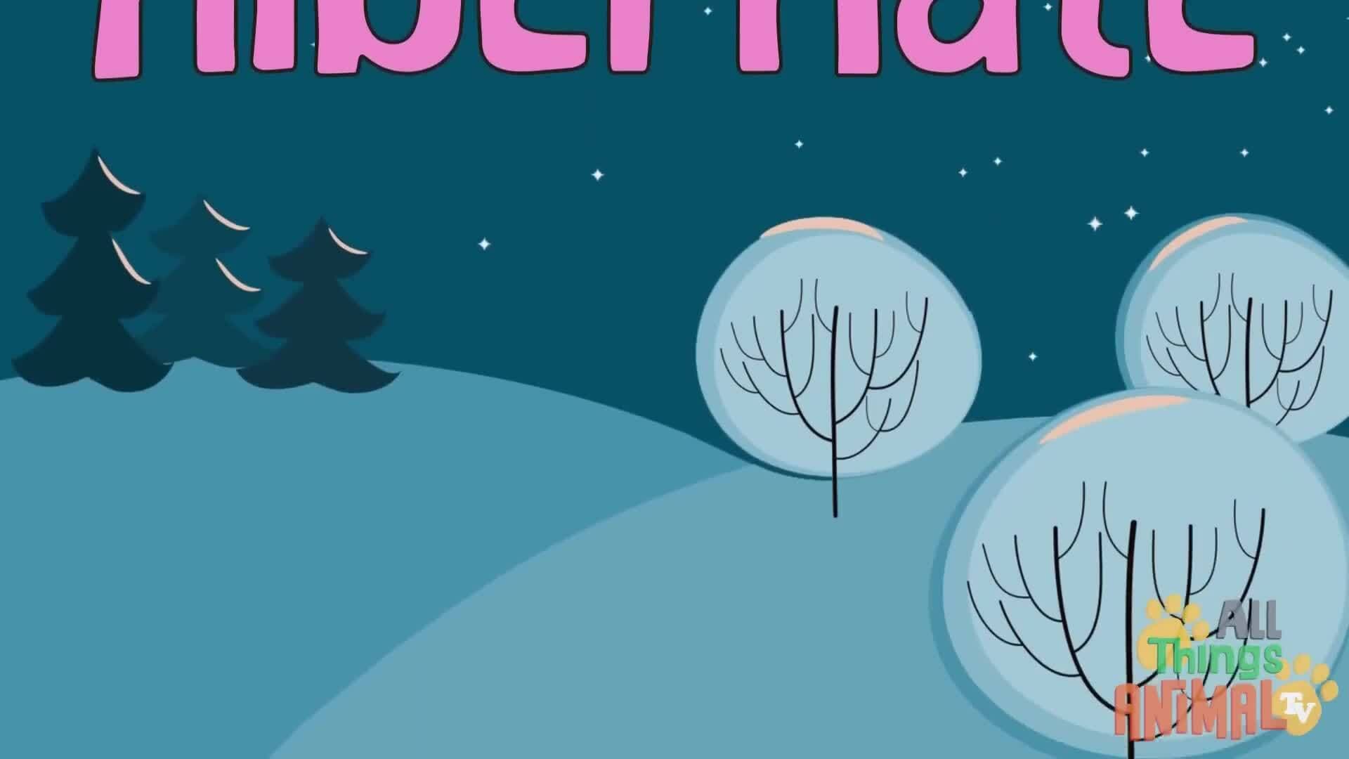 Discovering Black Bears: A Closer Look at North America's Fascinating Creatures