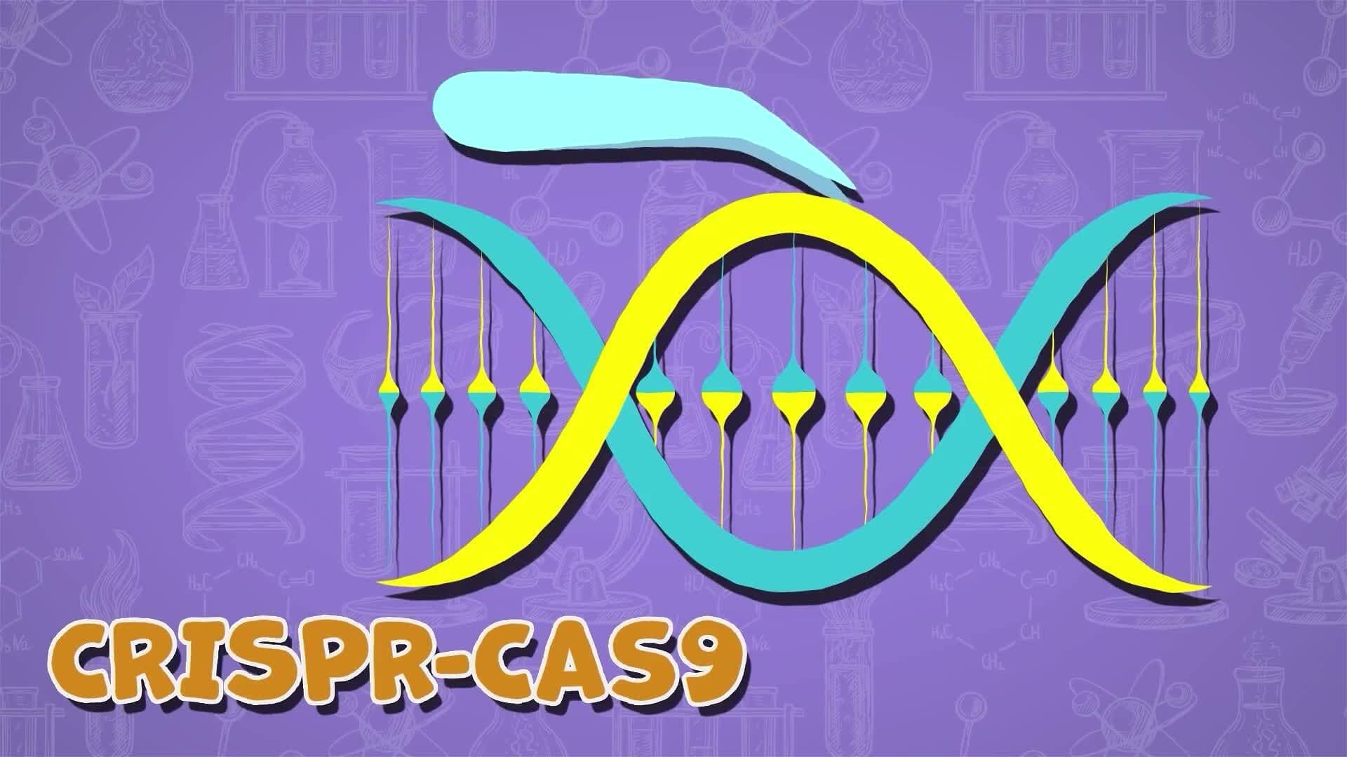 I WONDER - What Is Genetic Engineering?