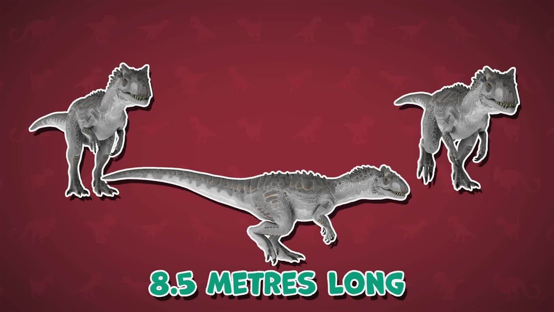 I WONDER - How Big Was The Allosaurus?