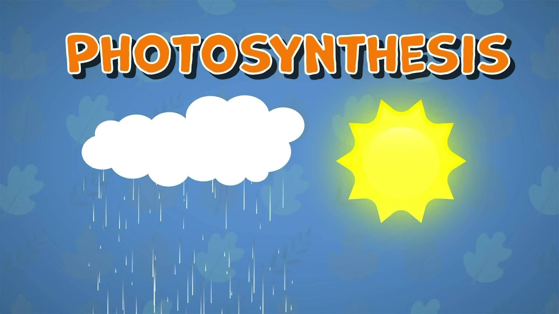 I WONDER - Are There Carnivorous Plants?