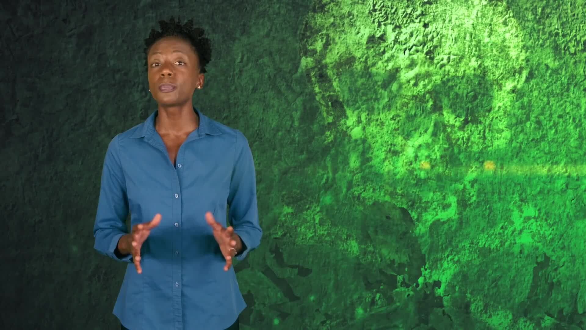 Environmental Racism: The Fight Against Hazardous Waste in Black Communities