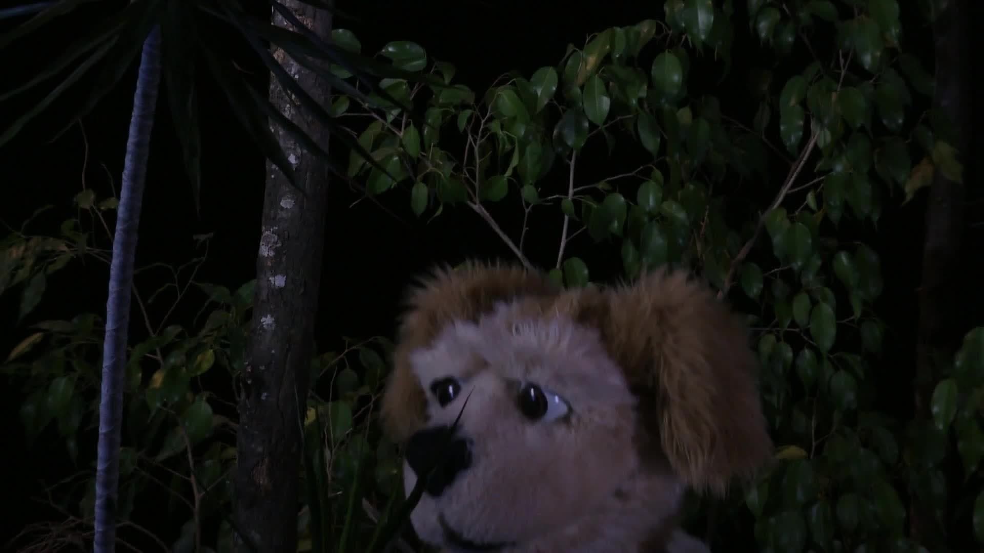 Animal Alphabet: B is for Babirusa