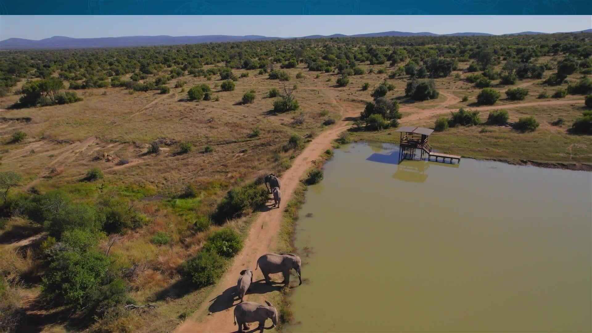 I WONDER - What Is A Wildlife Reserve?