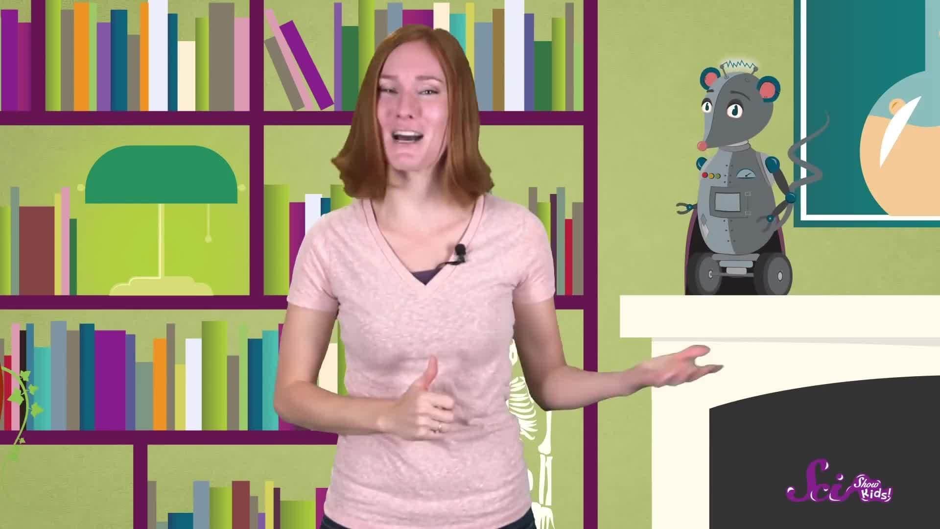 Why Do We Have Baby Teeth?