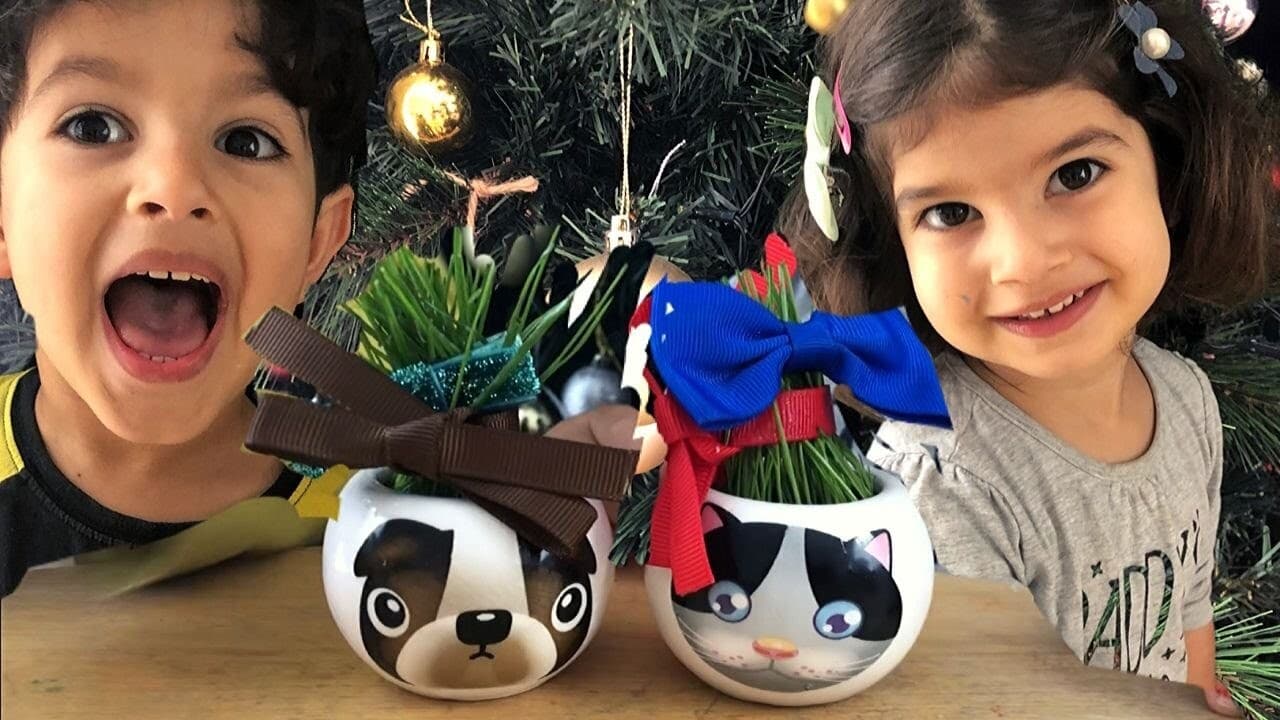 Growing Grass from Seedling Kits