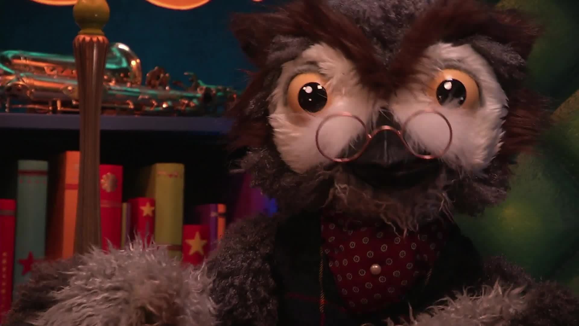 Owl's Fascinating Facts: Garter Snakes