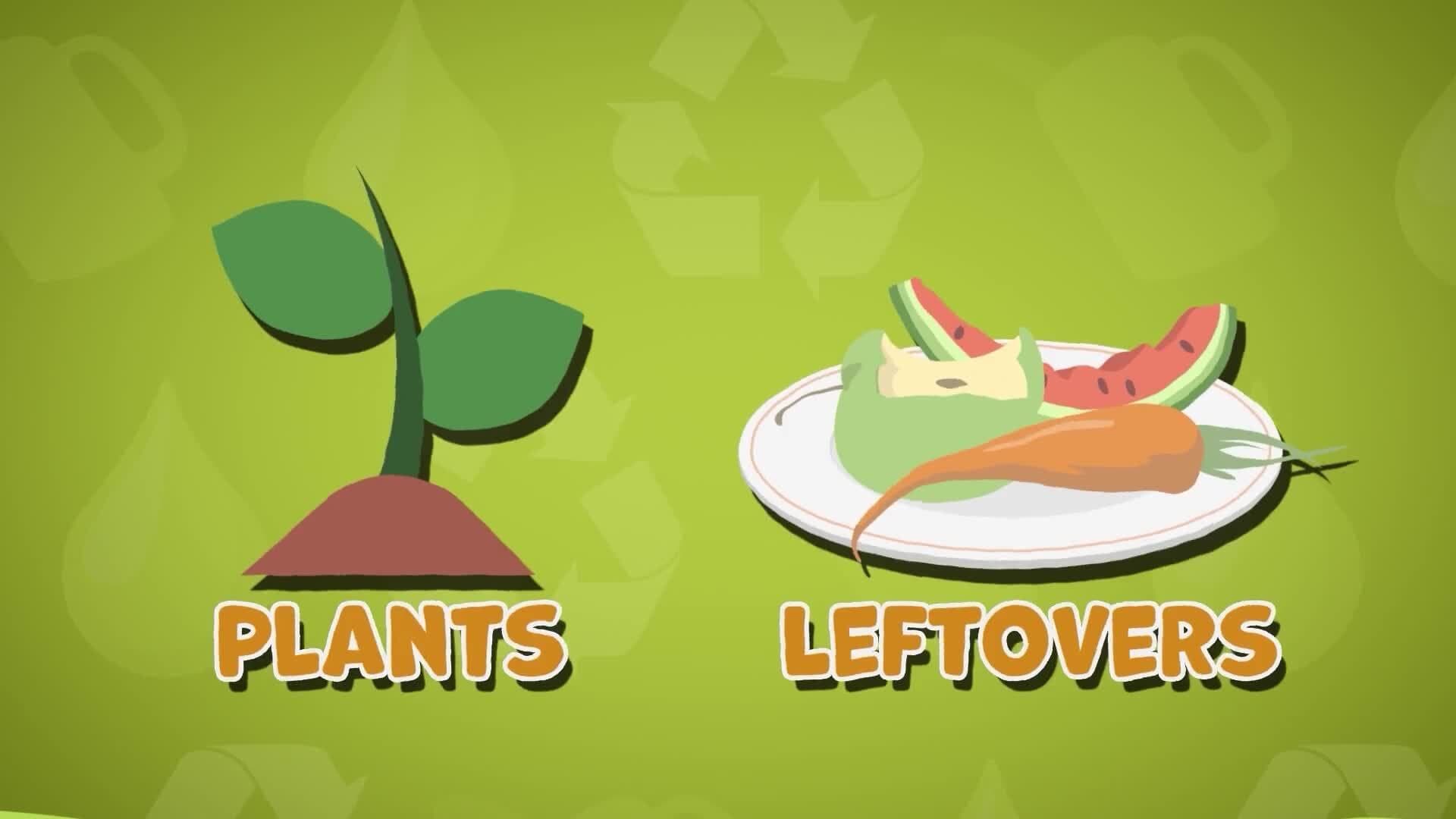 I WONDER - What Is Biofuel?