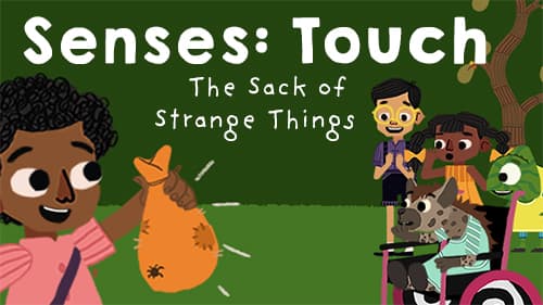 Mystery Bag - The Sack Of Strange Things