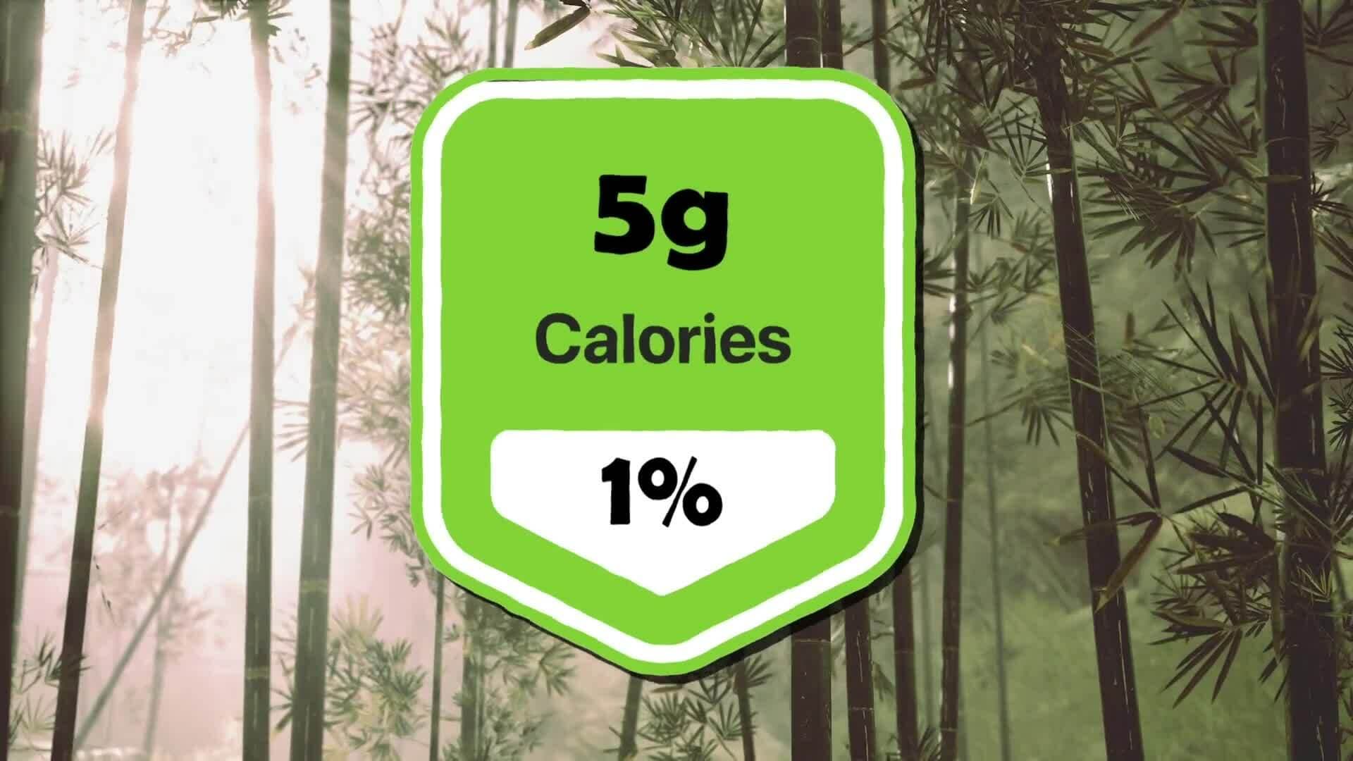 High Five Facts - Red Panda