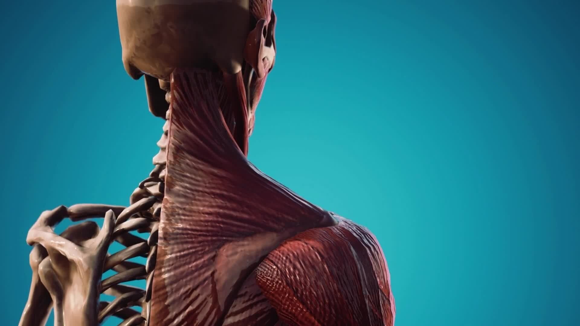 Jobs for the Future - Bioengineer