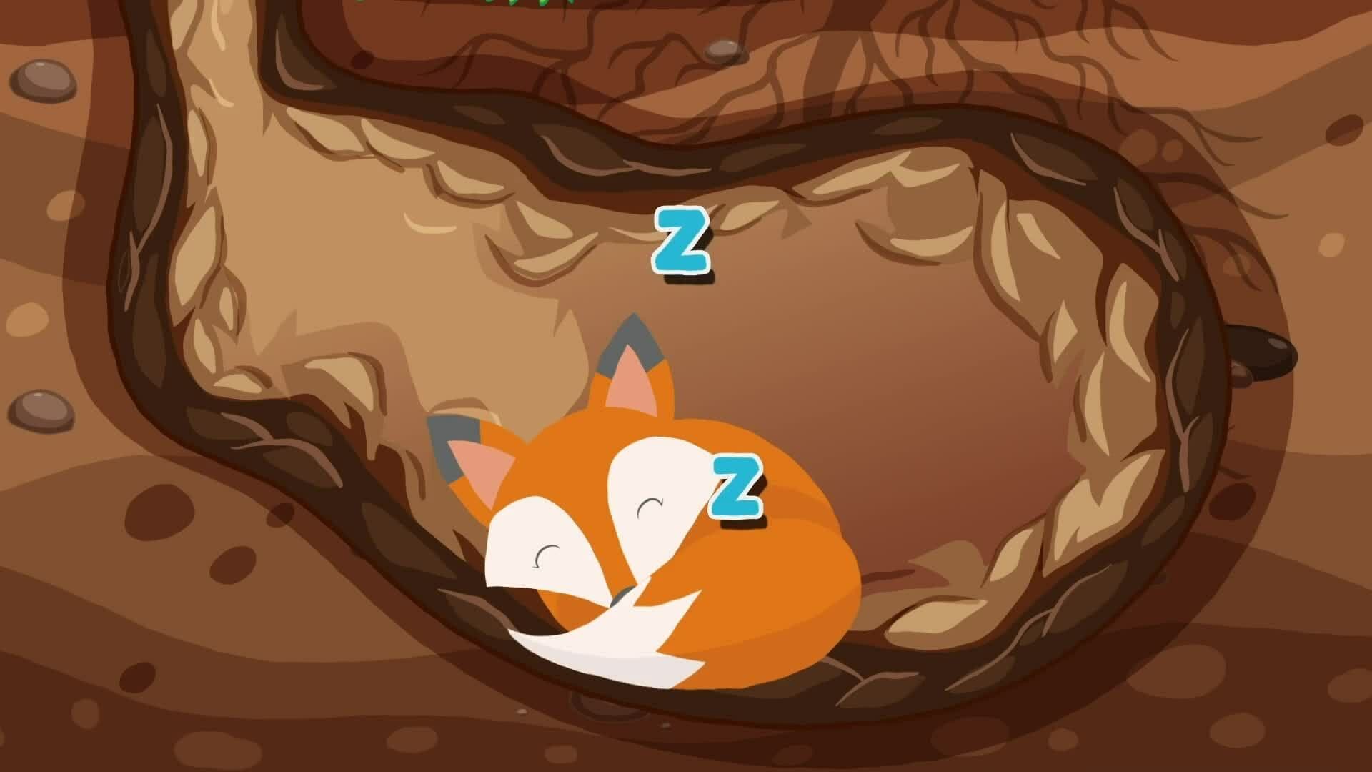 I WONDER - What Is Hibernation?