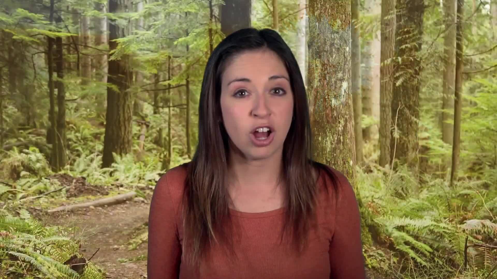 Clothing of the Northeast Native American Tribes