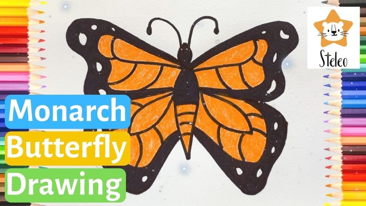 How To Draw A Monarch Butterfly