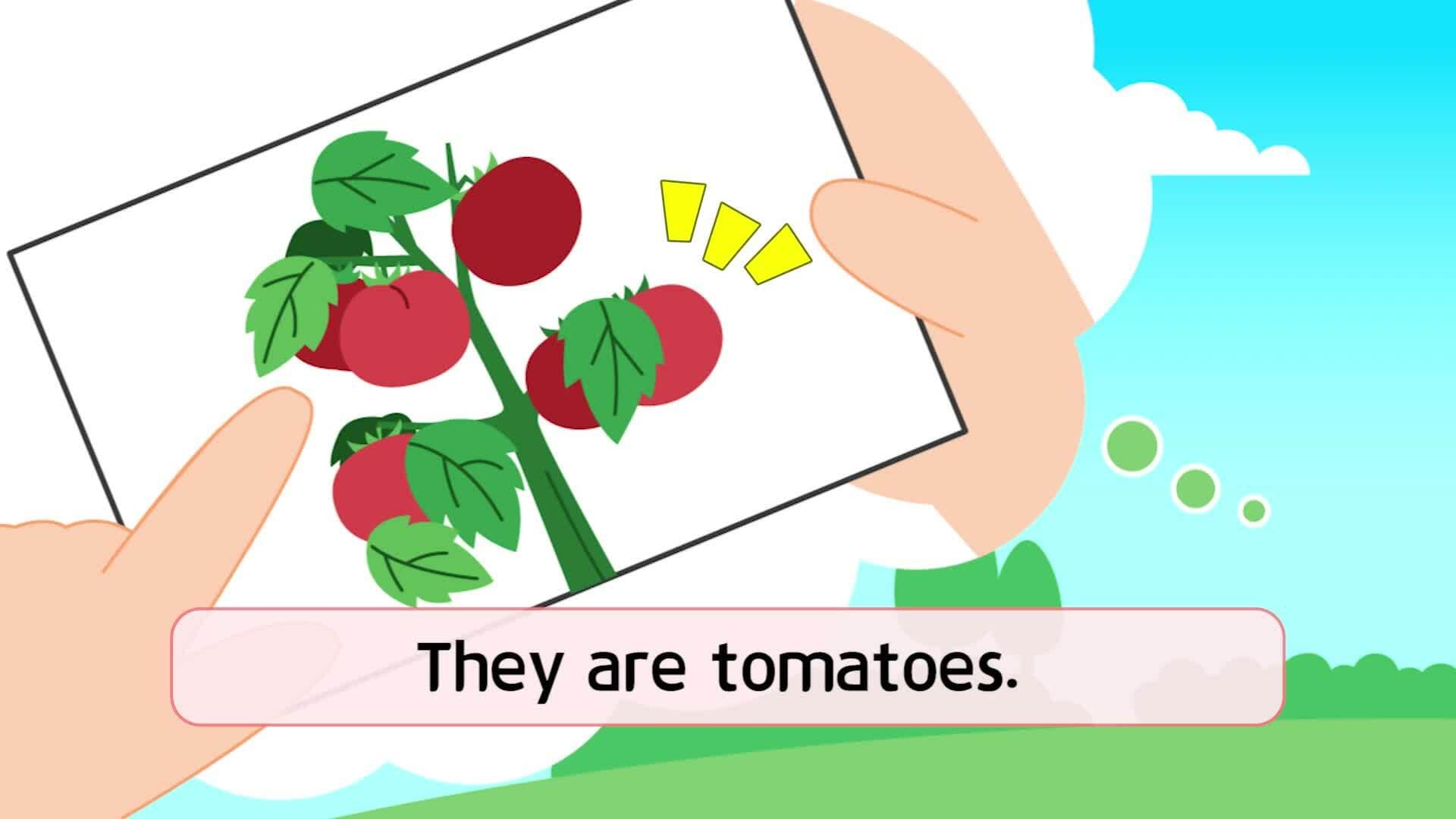 45. This is a picture of our garden.