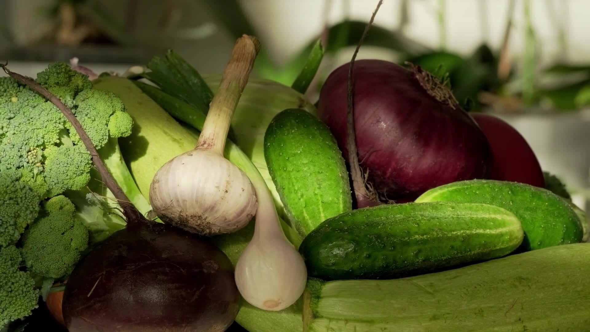 High Five Facts - Sustainable Food Choices