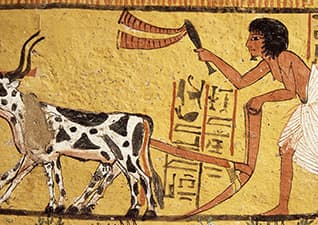 The birth of ancient Egypt