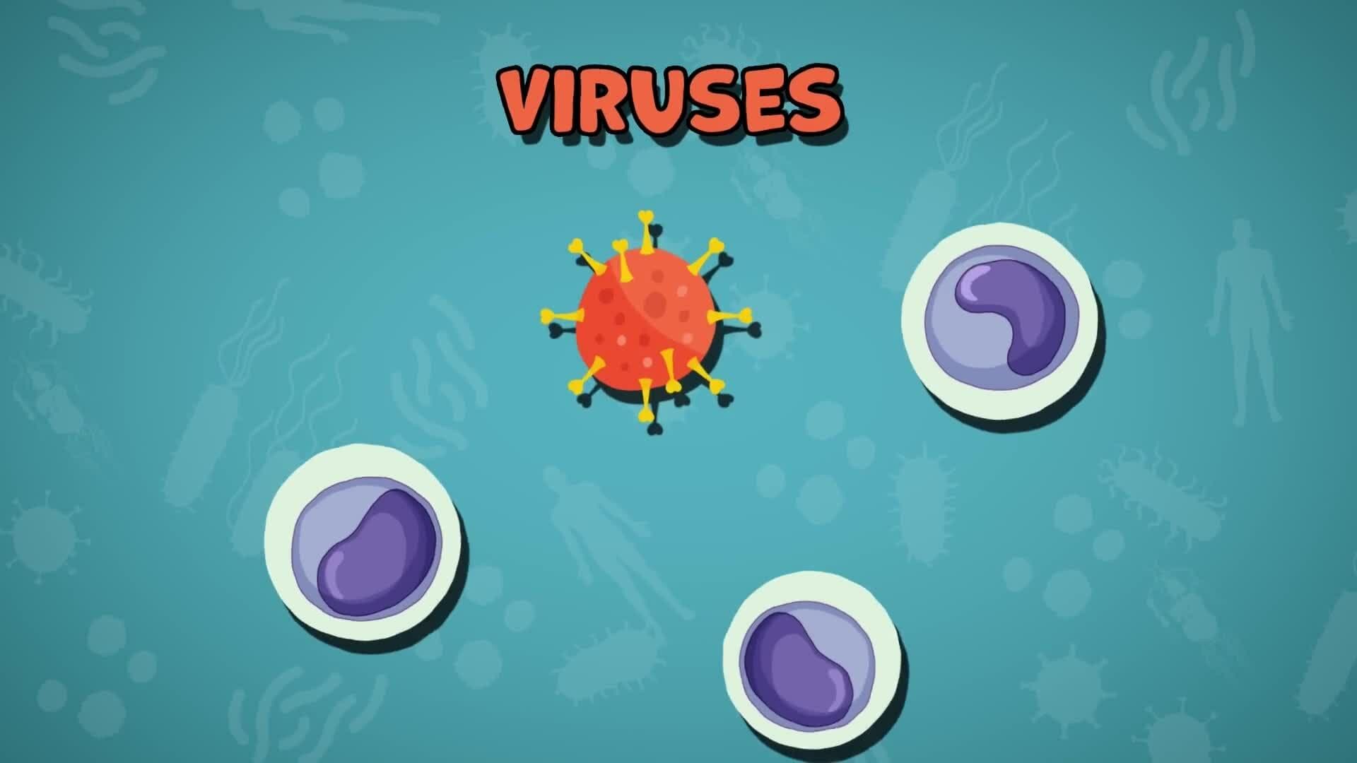 High Five Facts - Lymphatic System