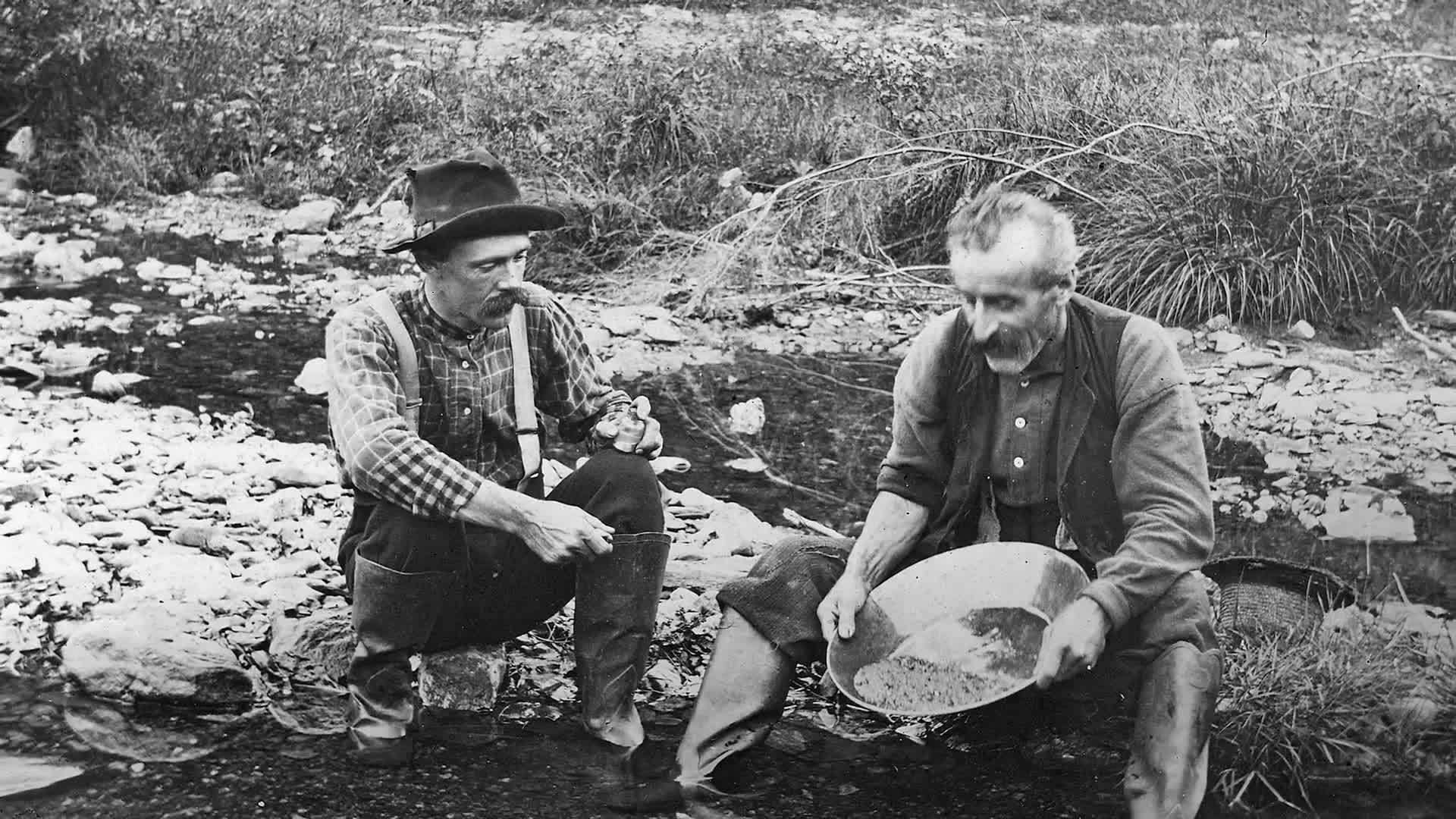 Money Kids: Cryptocurrency and NFTs