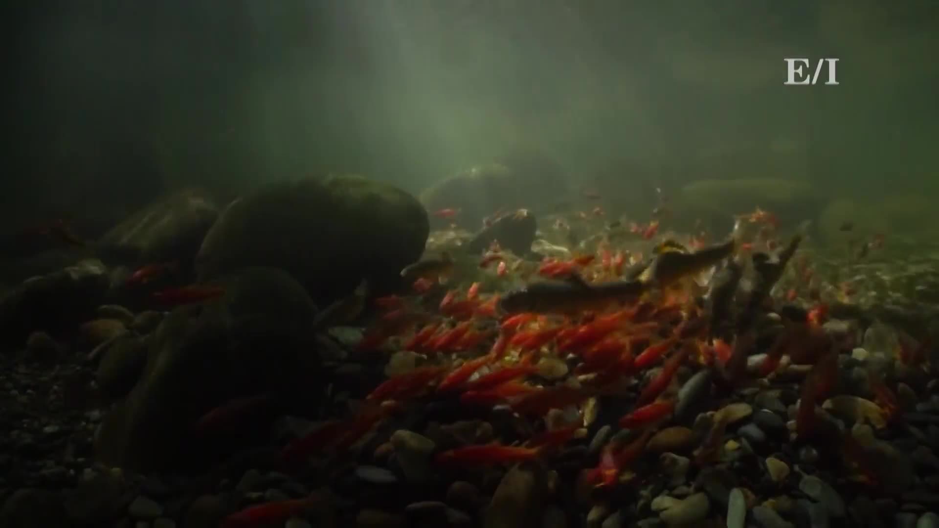 Your drinking water probably comes from here!