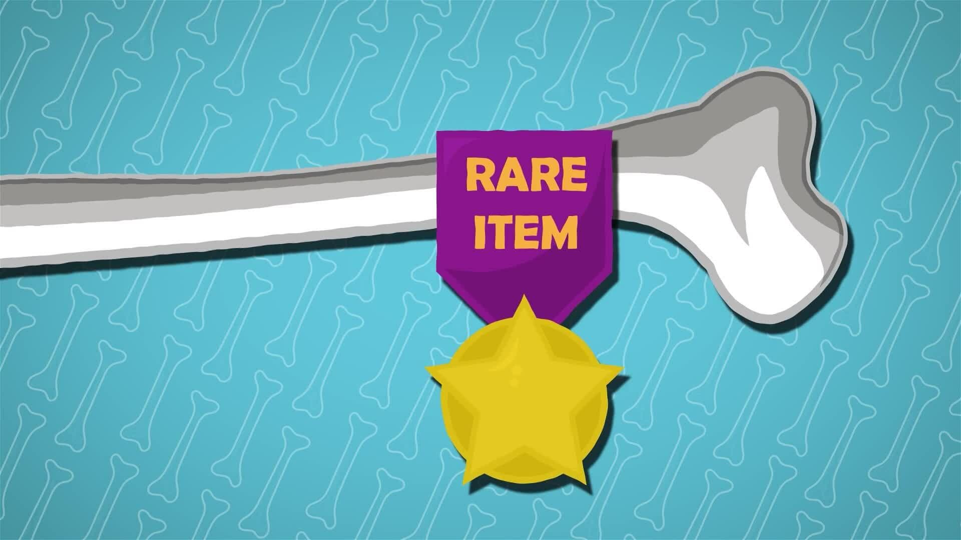 I WONDER - How Common Are Fossils?