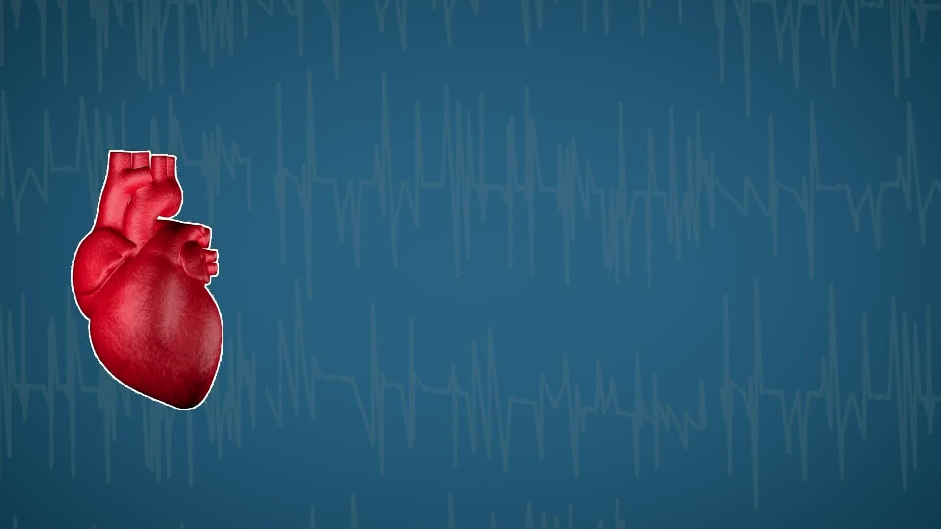 How Does it Work? - Lie Detector