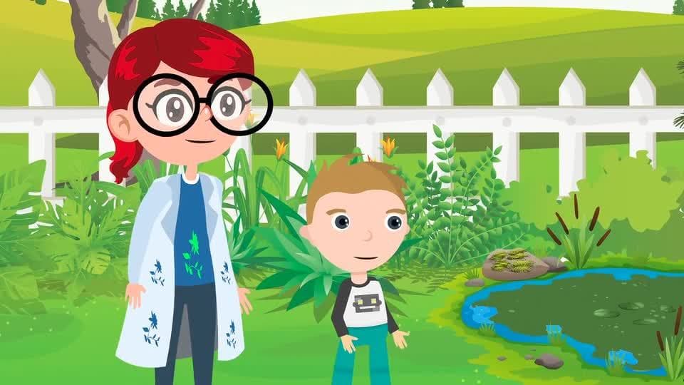 Different Types of Plants