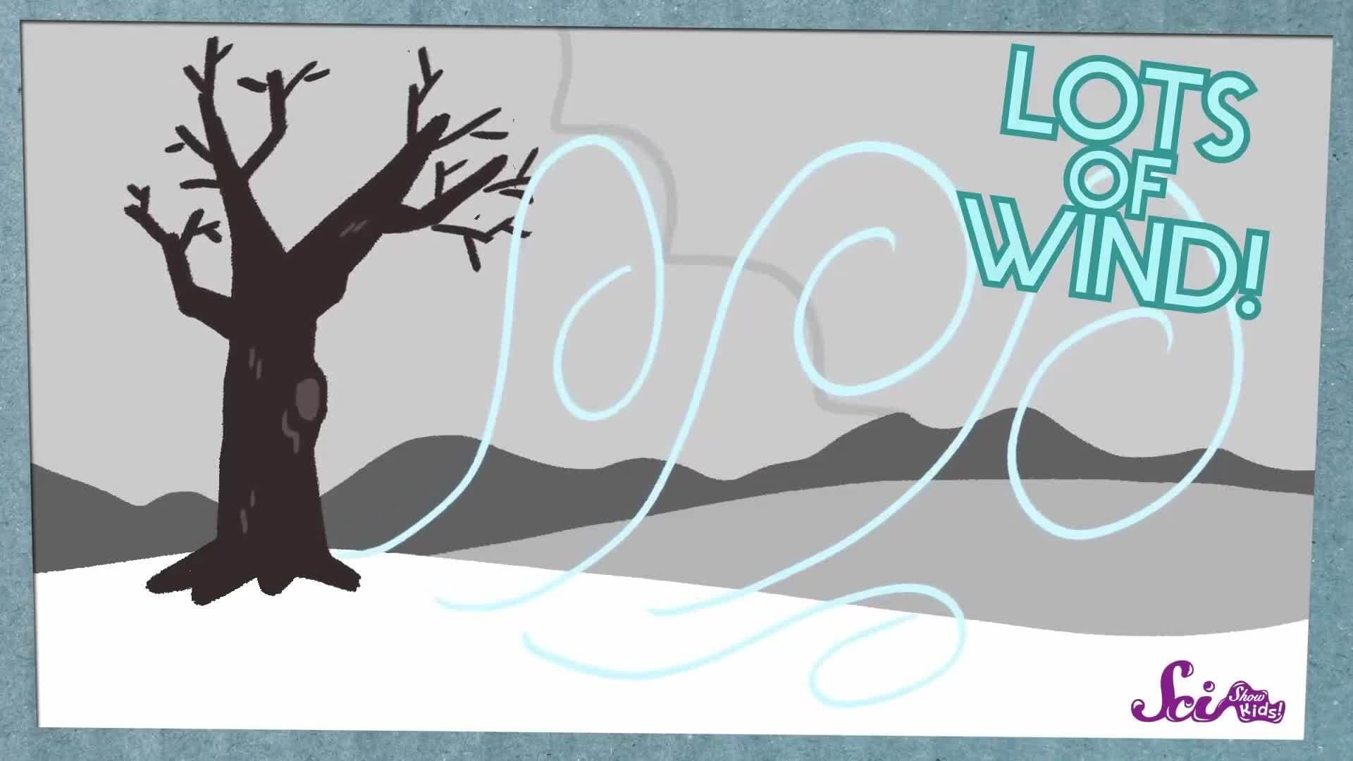 What is a Blizzard? | Winter Science | Weather Science | SciShow Kids