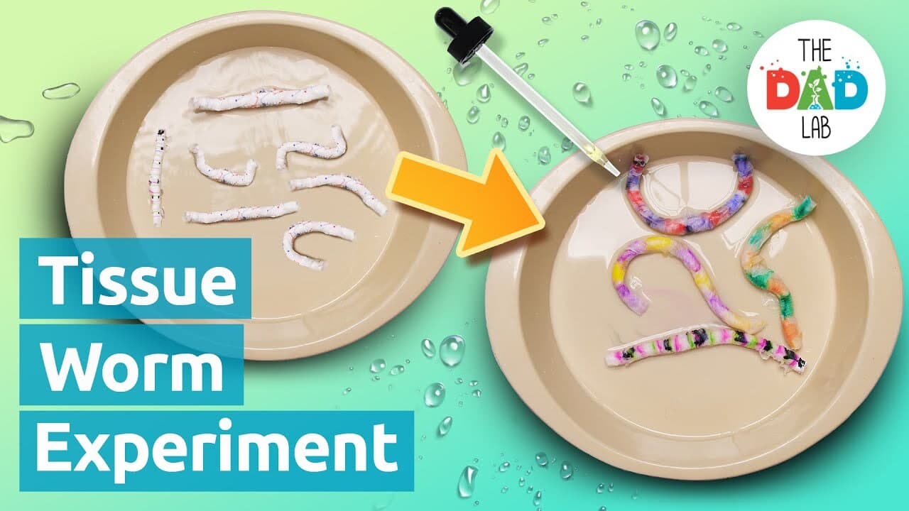 Science Experiment: Tissue Wiggly Worm