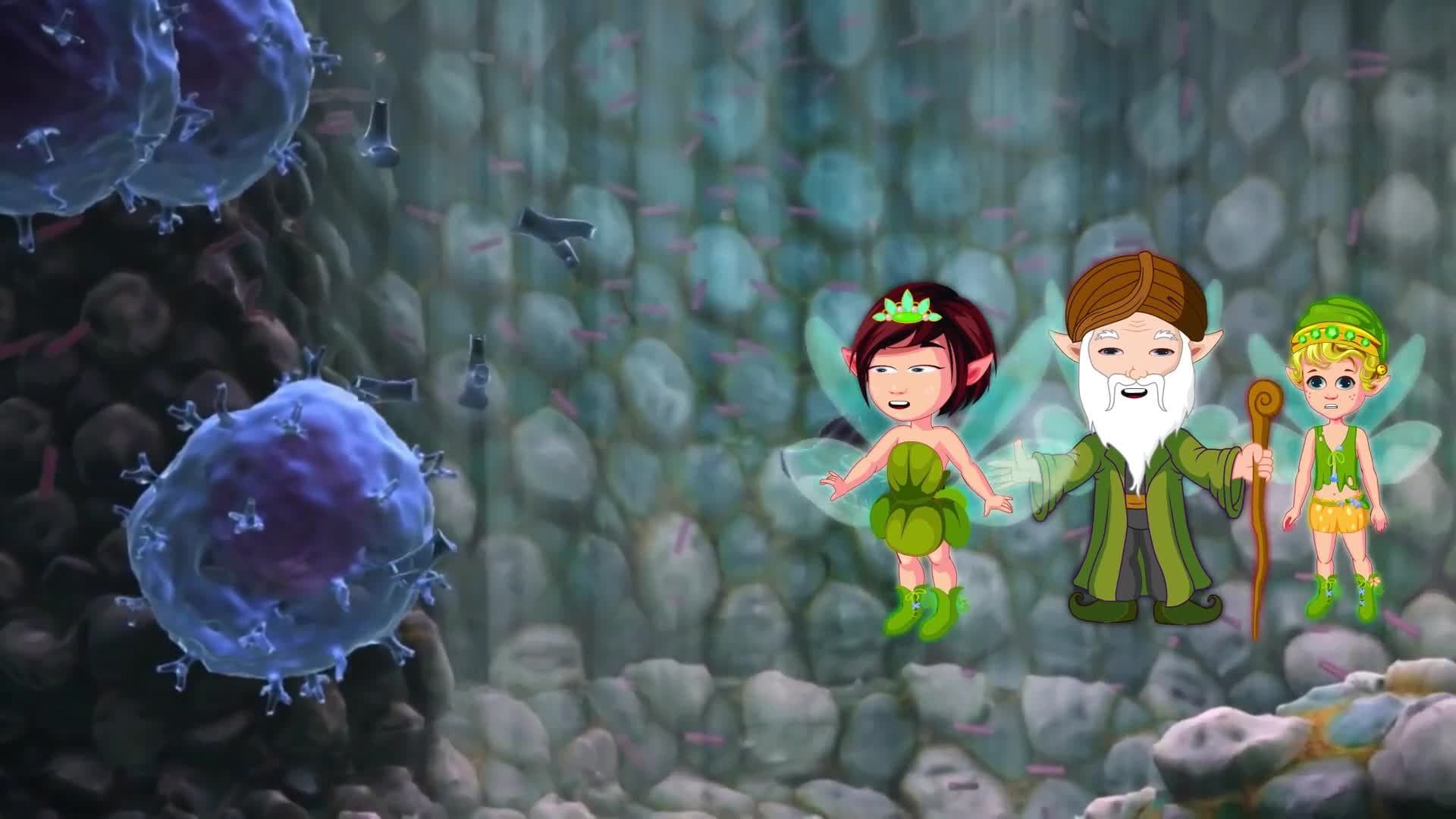 The Amazing Immune System