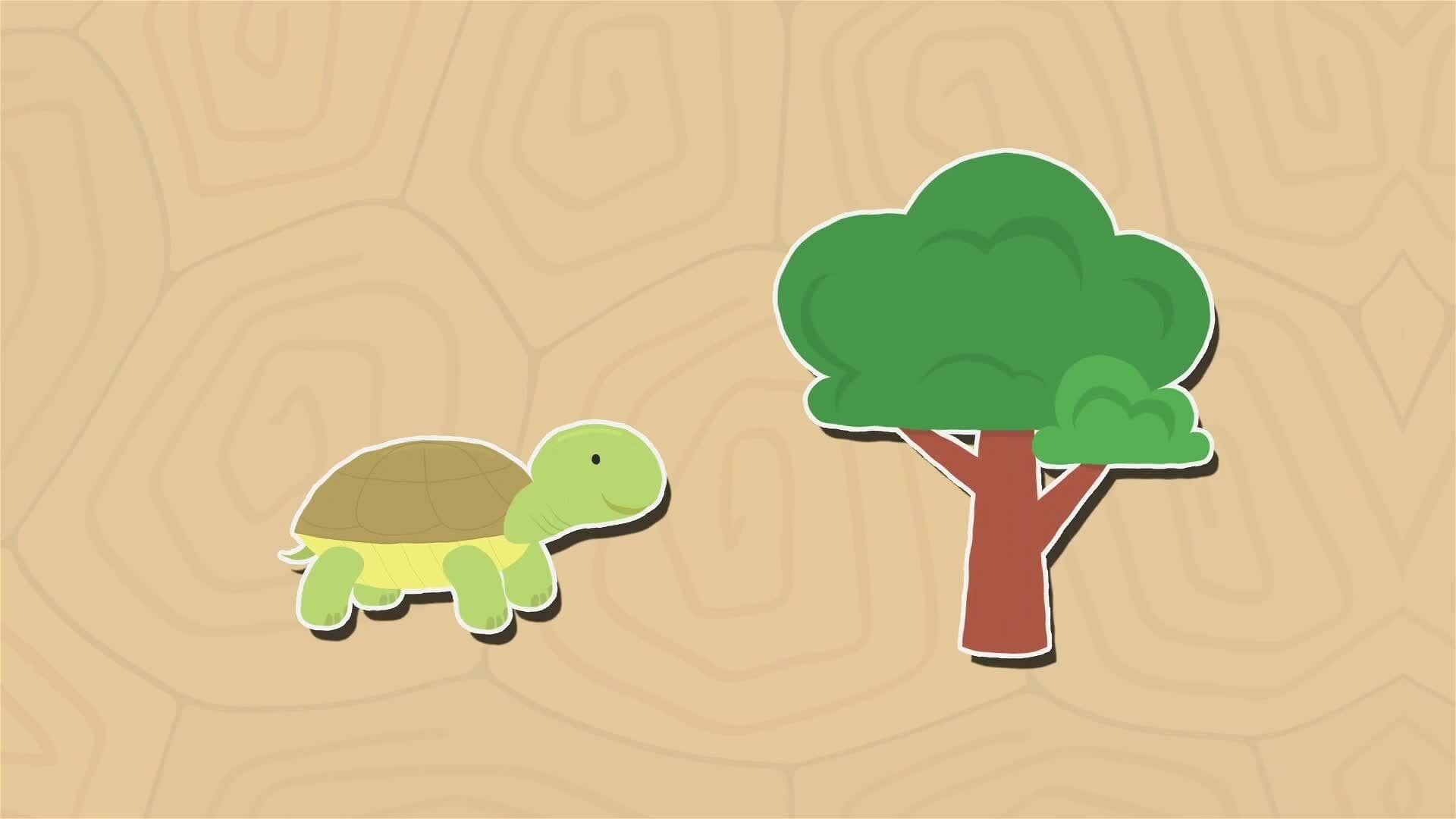 I WONDER - How Can You Calculate A Tortoise's Age?