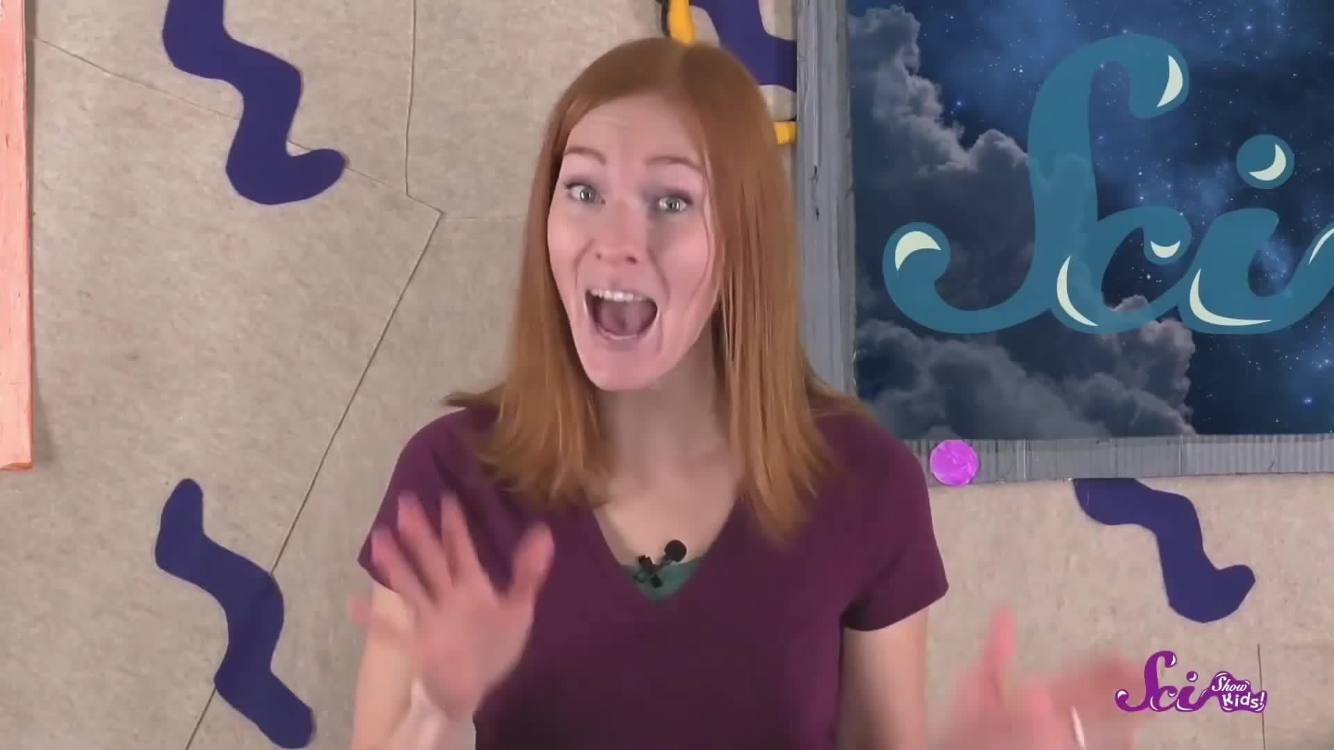 From Seasons to Salmon: All About Cycles! | SciShow Kids Compilation