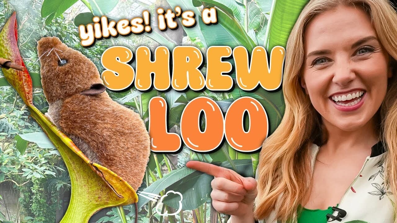 This plant eats POO! | The Carnivorous Shrew Loo | Maddie Moate