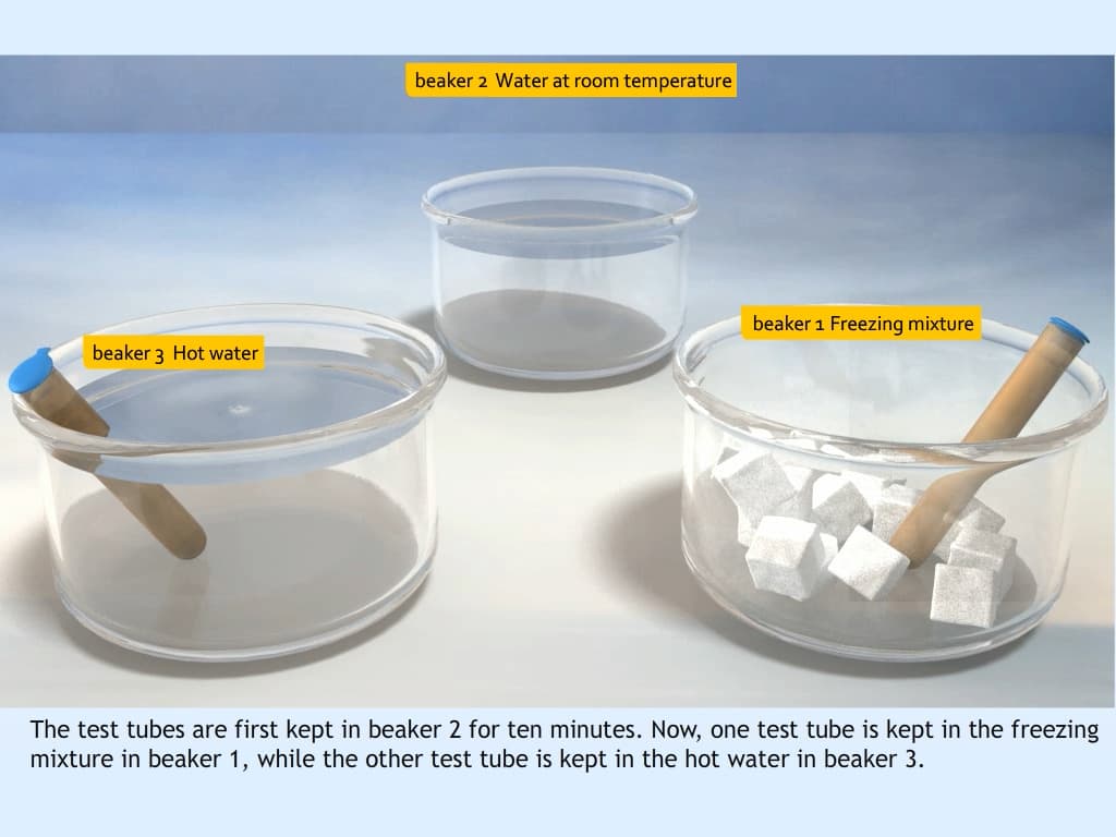 Factors affecting equilibria