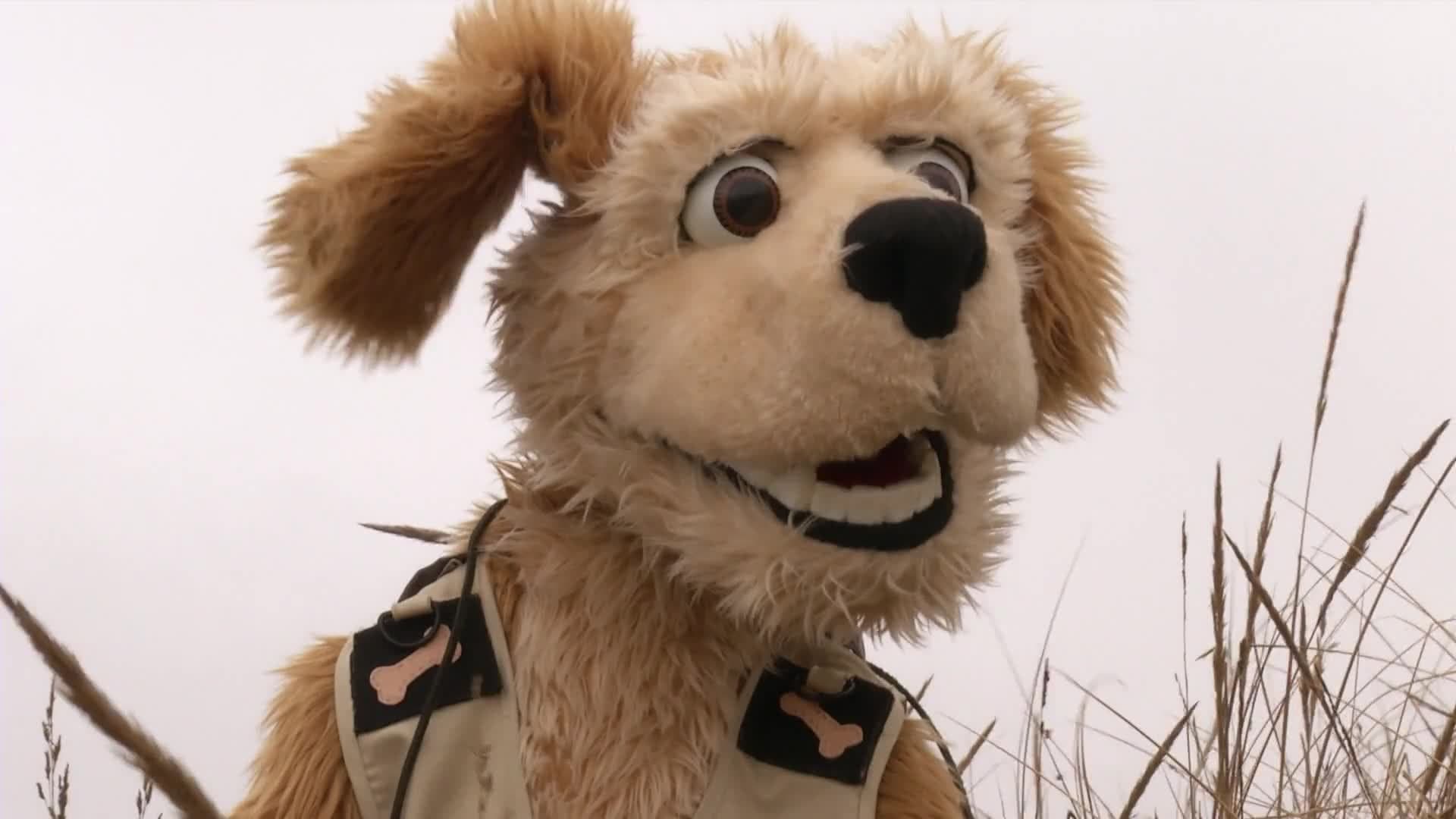 Animal Alphabet: E is for Emu