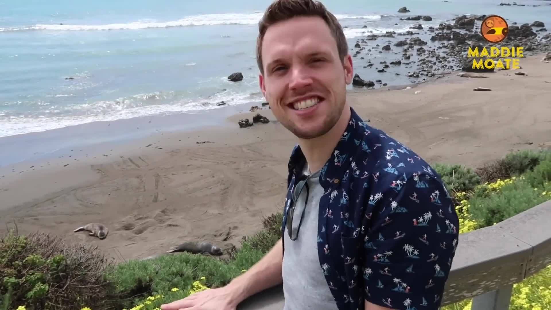 California's Elephant Seals! | Maddie Moate