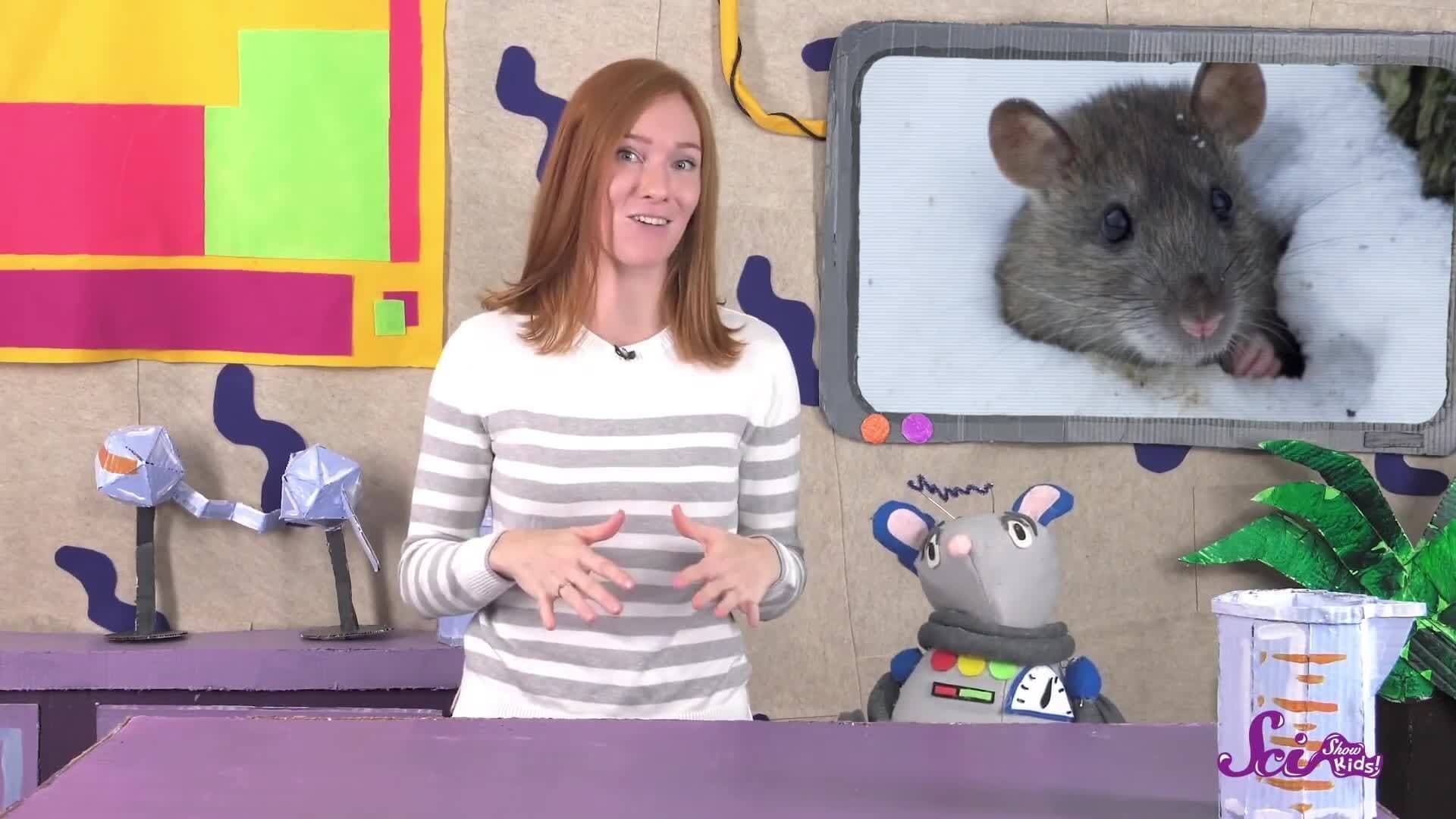 Tunnels in the Snow!