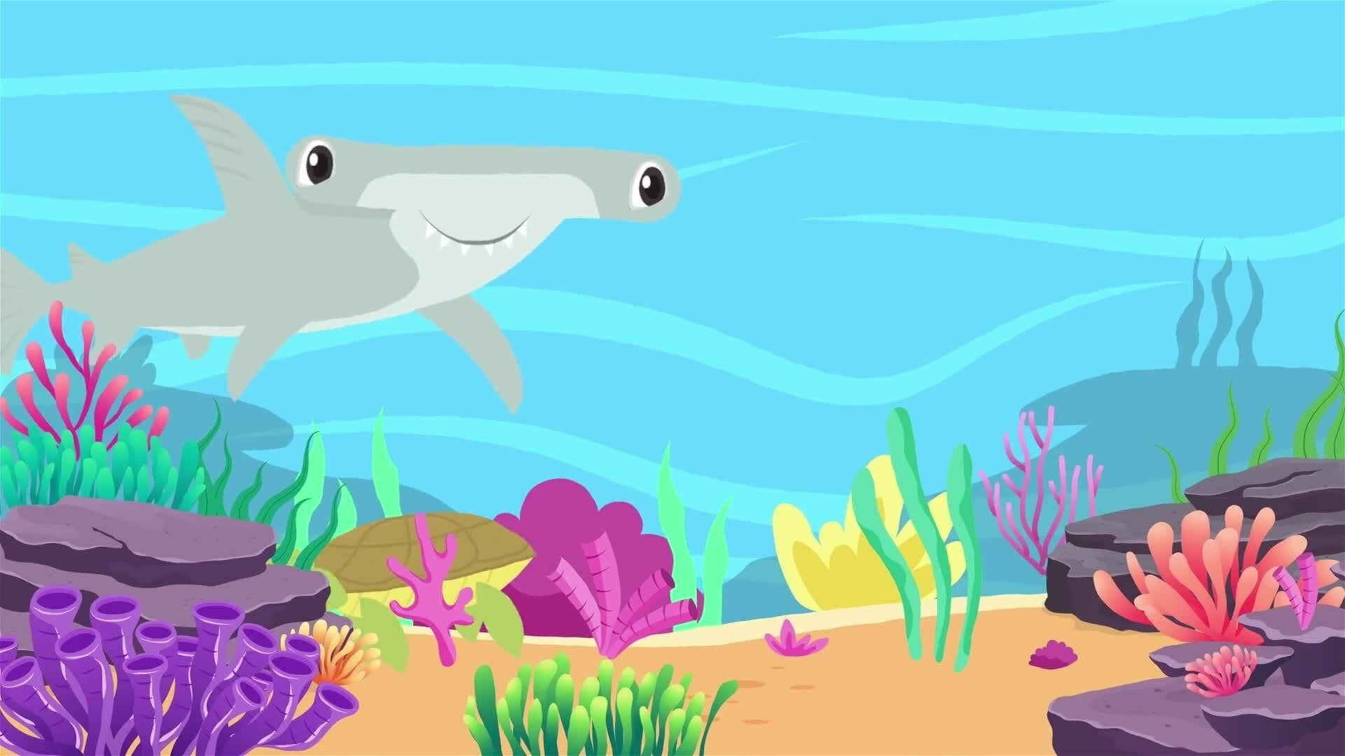 I WONDER - What Job Does A Coral Reef Do?