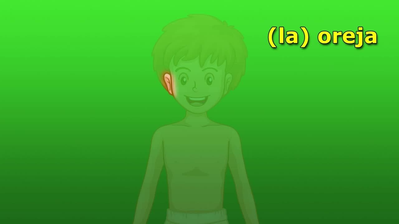 Intro Spanish Lesson: Parts of the Body Part I