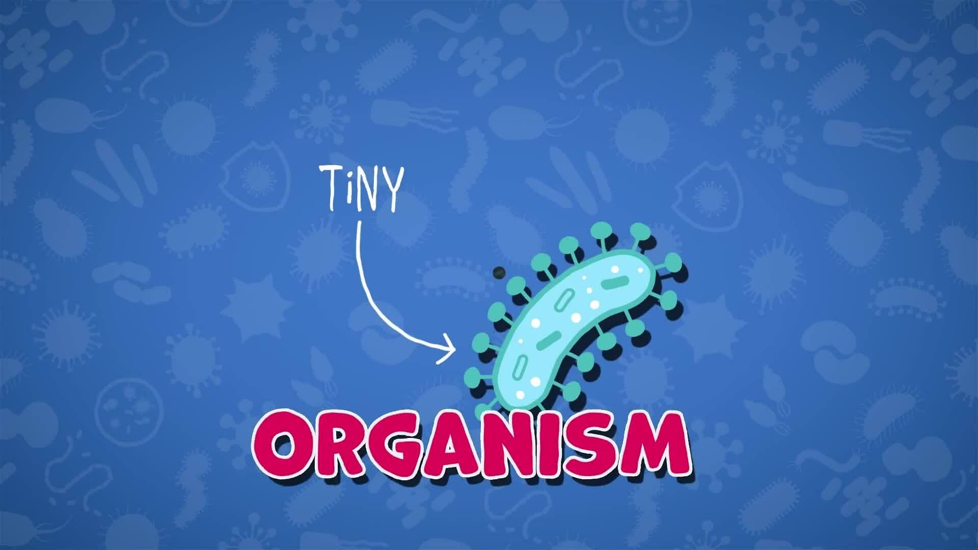 I WONDER - How Big Are Microorganisms?