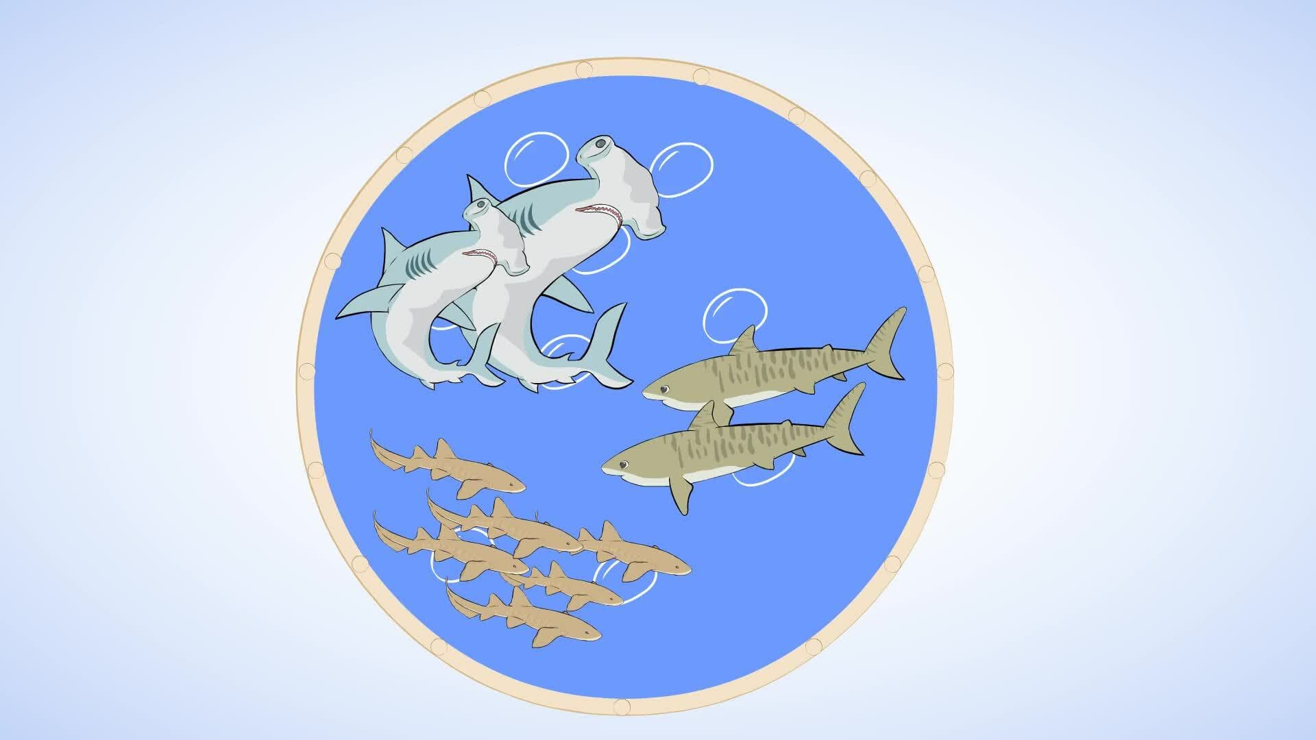 Adding Three Numbers