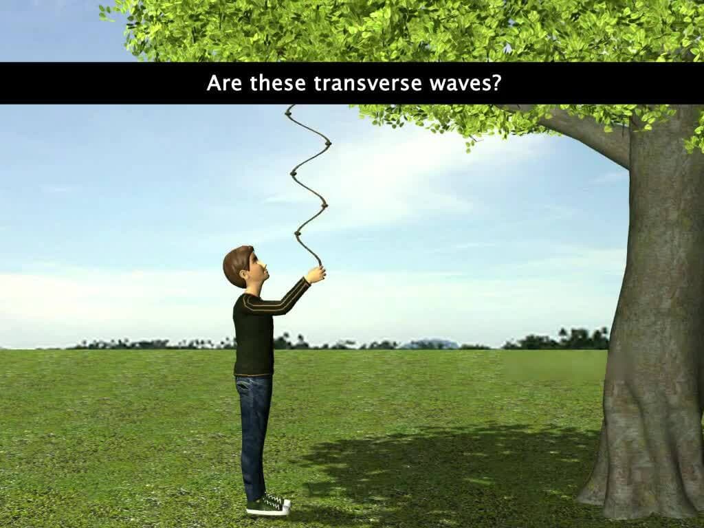 Transverse and Longitudinal Waves