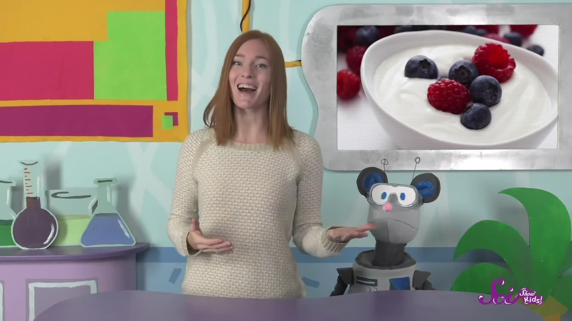 Where Does Yogurt Come From?