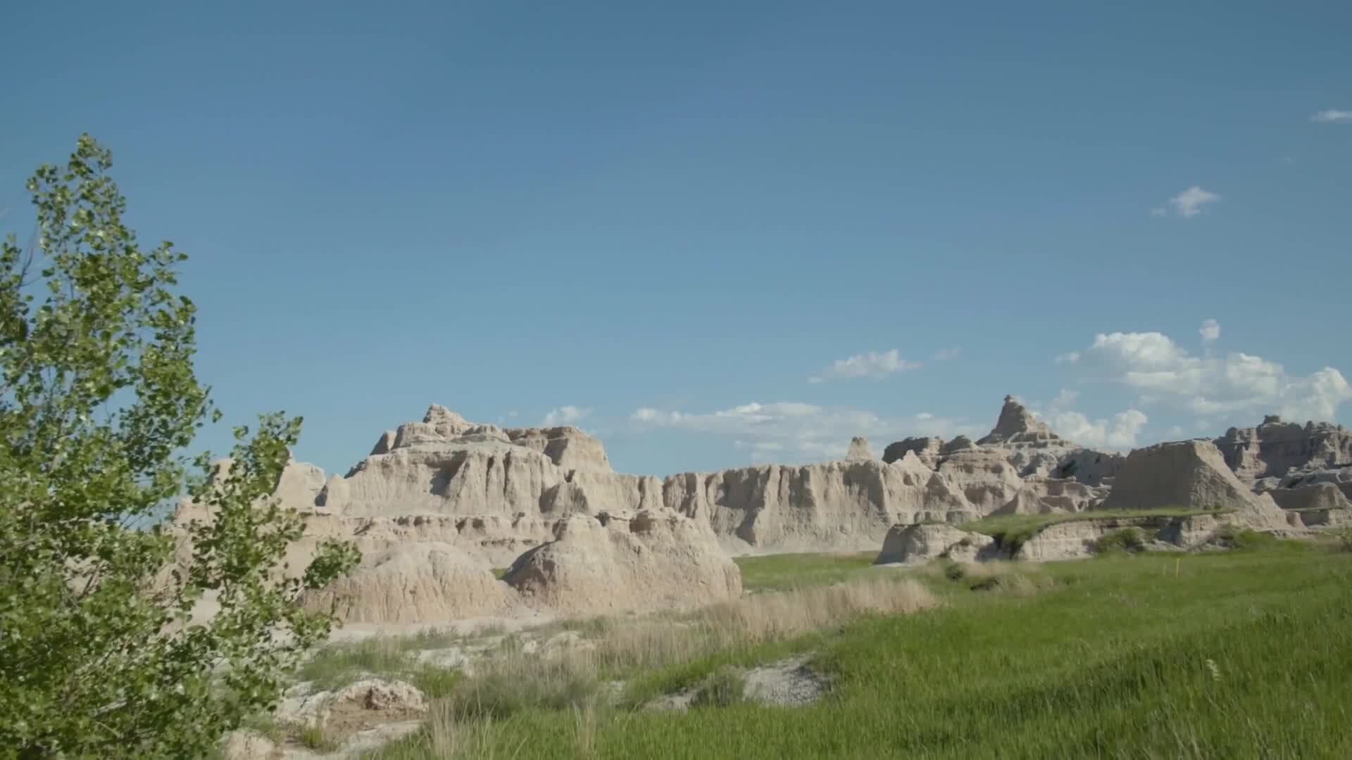 Types of Gerrymandering Explained